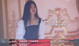 单依纯爆料视频,独家爆料视频背后的真实瞬间