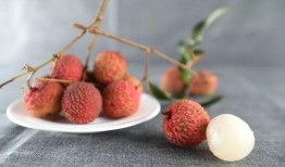 娱乐吃瓜酱荔枝,揭秘娱乐圈那些不为人知的幕后故事