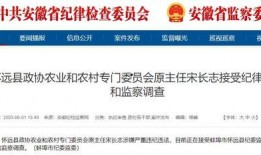 安徽怀远爆料最新新闻视频,视频揭示惊人事件，详情即将揭晓