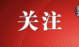 辽宁最新爆料消息视频,视频揭秘惊人内幕