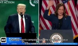 美国大选林伍德最新爆料,揭秘美国大选背后惊人内幕！”