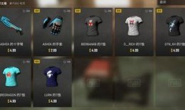 pubg最新爆料皮肤,PUBG最新爆料！神秘皮肤即将亮相，带你领略游戏新风采