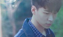 娱乐爆料王博文,揭秘王博文背后的故事与精彩瞬间