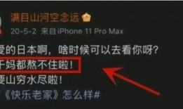 内鬼奉旨爆料视频在线看,奉旨爆料视频背后的真相与内幕