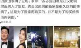 黄大夫爆料结婚了吗视频,结婚了吗？揭秘明星私生活