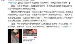 镇平虎哥爆料事件视频,揭秘背后真相与争议