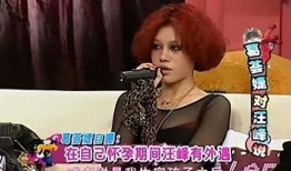 汪峰爆料章子怡私照视频,真相与争议