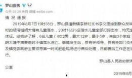 罗山女士爆料新闻事件,揭开新闻事件背后惊人真相