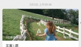 新闻故事爆料文案,揭秘新闻背后的惊人真相！