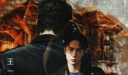 冰雨火最新爆料,揭秘神秘组织与卧底警察的生死较量！