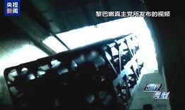 中东之眼爆料视频,震撼视频揭示地区局势最新动态