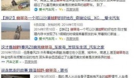爆料秦皇岛视频最新一期,揭秘视频一期精彩内容