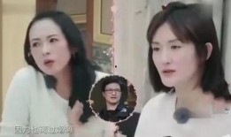 王菲父亲爆料视频最新,王菲成长背后的故事与心路历程