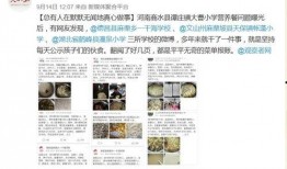 长沙小学爆料事件视频曝光,校园安全引关注