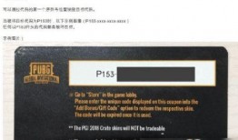 吃鸡皮肤爆料最新手册,手册大揭秘，潮流玩法抢先看