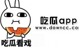 网红吃瓜国产网站大全,国产网站大全大揭秘