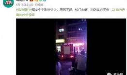 湖北校园爆料视频最新版,揭秘校园内幕，真相令人震惊！