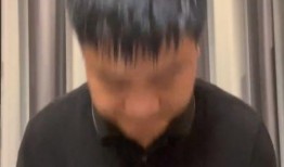 老陈最新爆料消息新闻视频,最新爆料新闻视频深度解析