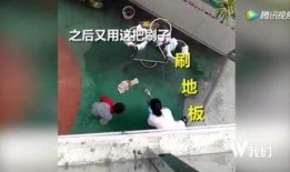 湖北爆料事件视频最新版,揭秘真相与争议再起