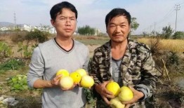 吃瓜群众免费秦皇岛,吃瓜群众福利大放送！”