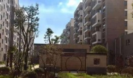 机械猎手最新爆料网页,揭秘未来战争利器