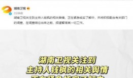 娱乐圈吃瓜公众号犯法吗,揭秘网络舆论边界，吃瓜行为是否触犯法律？