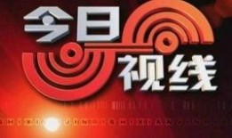 汕头今日视线爆料号,揭秘潮汕地区最新热点事件