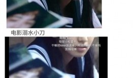 娱乐圈吃瓜教主小说,吃瓜教主揭秘幕后风云